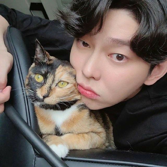 Yoon Kyun-sang em programas de variedade ou com seus gatos