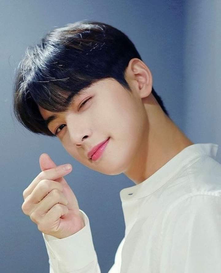Cha Eun-woo
